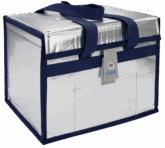 EBT-20